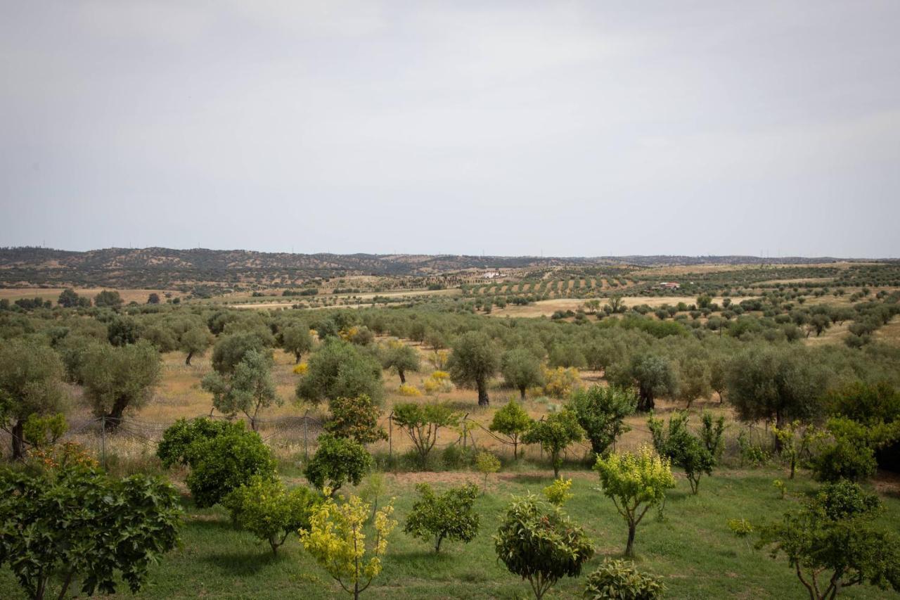 Passo Do Lobo - Turismo Rural Moura Buitenkant foto